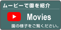 Movies